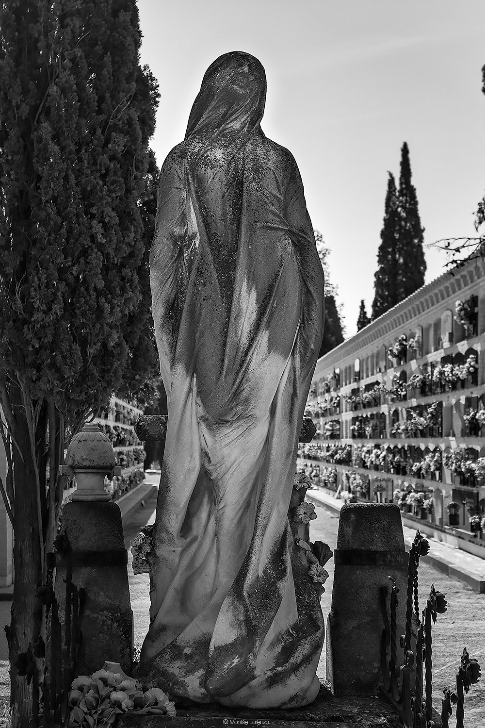 Sepultura de la Familia Ginés y Ginés